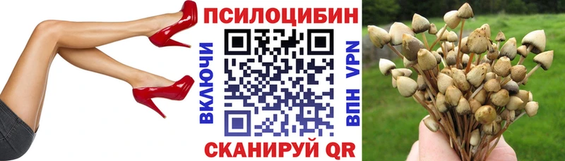 дарнет шоп  Покровск  blacksprut как зайти  Псилоцибиновые грибы MAGIC MUSHROOMS 